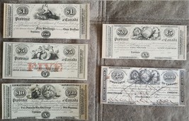 Reprint on paper with W/M Canada 1848-1850 y. Dollar FREE SHIPPING - £29.32 GBP
