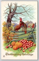 Thanksgiving Greetings Turkeys On Fence Autumn Scene Postcard V21 - £4.71 GBP