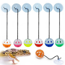 Reptile Toy Bell Ball With Suction Cup - £6.27 GBP