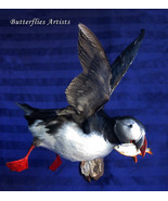 Flying Atlantic Puffin Catch Fish Stuffed Bird Taxidermy Scientific Zoology - $9,484.42 MXN