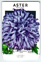 Shumway Seedsman Aster Blue Flowers Seed Packet EMPTY Envelope Vintage R... - $7.28