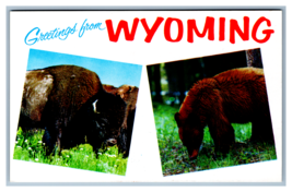 Greetings from Wyoming Buffalo and Bear Picture Postcard Unposted - £3.89 GBP