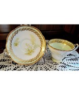 Vtg Foley E. Brain Teacup Saucer Bone China Fern Green Gold Pedestal Cup... - $24.53