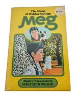 Meg and The Ghost of Hidden Springs Book Holly Beth Walker Teen Mystery ... - £7.89 GBP