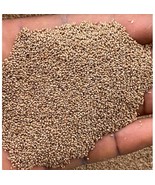 Fonio(Digitaria exilis)seeds for planting , 100g/10 USD, shipping cost i... - $32.00