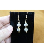 DP1-28-1 REAL DINOSAUR POOP beaded dangle EARRINGS Utah ancient Dino Cop... - $25.97 CAD
