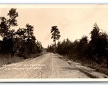 RPPC Lone Pine on the Road to Houghton Lake Michigan MI UNP Postcard R18 - $6.20