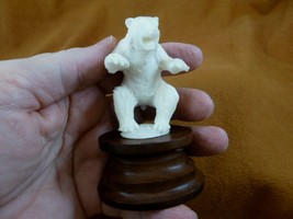 (tb-bear-23) white Polar Bear cub Tagua NUT palm figurine Bali carving bears - £40.44 GBP