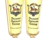 2 Gutmann Schneider Hopf Maisel Arco Paulaner Weizen German Beer Glasses - $14.50
