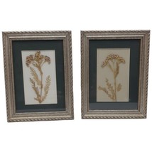 Pair Framed Pressed Dried Flowers Dark Green Matted Framed Pictures Home Decor - £16.89 GBP
