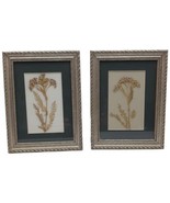 Pair Framed Pressed Dried Flowers Dark Green Matted Framed Pictures Home... - £16.82 GBP