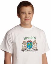 Breslin Irish Coat of arms tee Shirt in White - $15.63+
