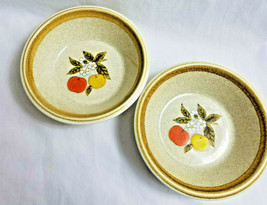 2 Mikasa Stone Manor Tempting Soup Salad Dessert Bowls Fruit Pattern #F5812 - $34.95