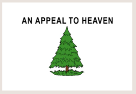  An Appeal To Heaven 5&#39;x8&#39; Flag ROUGH TEX® 100D - £59.51 GBP