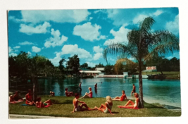 Weeki Wachee Spring of Mermaids Florida Attraction Koppel Cards Postcard 1960s d - £7.86 GBP