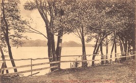 White Lake Sullivan County New York Fence &amp; Tree Lined~Artino Publ Postcard 1912 - £7.78 GBP