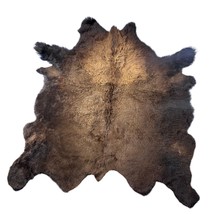 Bison Skin Rug (no tail) Size: 8x7.5 feet # 14 - $1,286.01