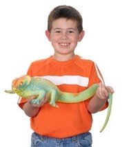 Aasha&#39;s Fun Huge Tactile Lizard Toy ~ Grows up to 36 inches (by Aasha&#39;s ... - £10.17 GBP