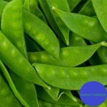 20 Oregon Sugar Pod Ii Snow Pea Seeds Non Gmo - £6.09 GBP