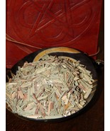 LEMONGRASS Dried Herb for Ritual Use - Herbs for use as a Spell Ingredie... - £2.31 GBP