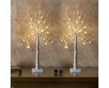 Set of 2- EAMBRITE 2FT 24LT Warm White LED Birch Tree Light with Timer - $36.90