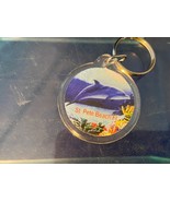 Florida Souvenir St. Pete Beach Dolphin Keychain Bag Clip Ocean Fish Circle - $12.19