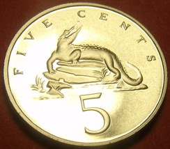 Extremely Rare Proof Jamaica 1993 5 Cents~American Crocodile~500 Minted~Free Shi - £15.37 GBP