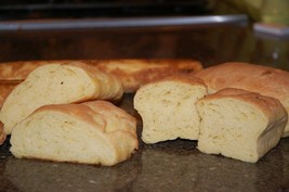 Gluten Free Sourdough Bread Starter Yeast San Francisco Sammy Plus Recipes Bonz - £6.96 GBP