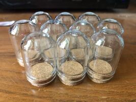 PH PandaHall 10pcs Cloche Bell Jar, Display Dome with Cork Base ‎0.86&quot;W ... - $13.86