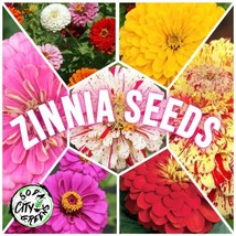 Zinnia Flower Seed Packs California Giant Candy Cane Enchantress And More Garden - $6.58