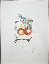 SALVADOR DALI &quot;Fruit Troues&quot; Original,Authentic HAND SIGNED Etching Surreal - £6,124.92 GBP