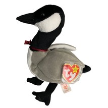 Loosy the Goose Bird Retired TY Beanie Baby 1998 PE Pellets Excellent Cond - £5.35 GBP