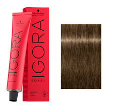 Schwarzkopf IGORA ROYAL Hair Color - 7-00 Medium Blonde Natural Extra