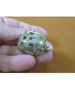 Y-LAD-57) gray Ladybug ladybird beetle love bugs figurine carving SOAPST... - $163.26 MXN