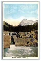 Natural Bridge Filed British Columbia BC Canada UNP WB Postcard O16 - £3.05 GBP