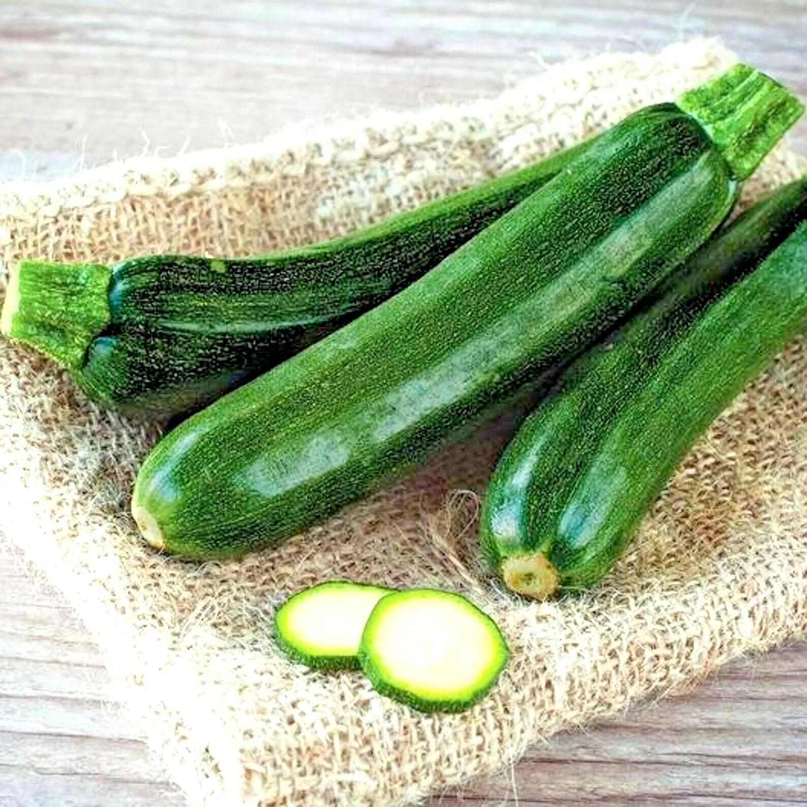 75 Squash Zucchini Seeds Black Beauty Spring Heirloom Vegetable Garden - $7.00