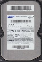 SP1203N, SP1203N, FW 100-24, P/V FS, Samsung 120GB IDE 3.5 Hard Drive - $96.03