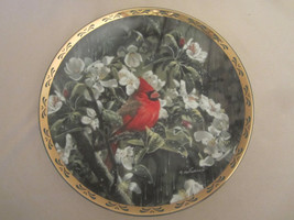 Cardinal Collector Plate Early Morning Rain Alan Sakhavarz Bird Melodies In Mist - $29.99