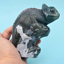 5&quot; Natural Large Size Indian Agate Chameleon Gemstone Lizard Carving 1.9... - €104,23 EUR