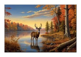 Whitetail Deer by the Lake in Autumn Forest Morning Light-Wall Decor-Fun Giclee - £7.61 GBP+