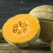 Honey Rock Melon Seeds, Cantaloupe, Sugar Rock, NON-GMO, Free Shipping Fresh - £6.35 GBP