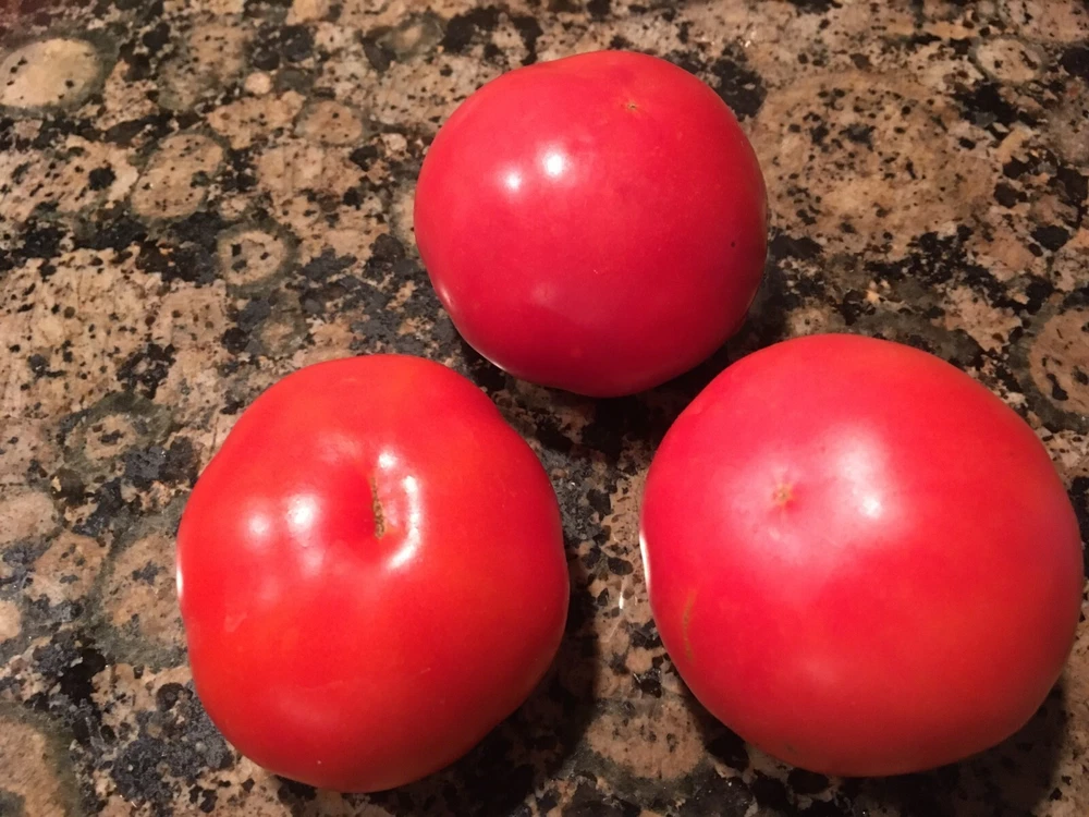 Vibrant 30 Missouri Pink Love Apple Tomato seeds fresh harvest - €1,95 EUR