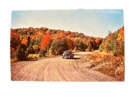 Symphony of Color Autumn Drive  Vintage Postcard - £3.15 GBP