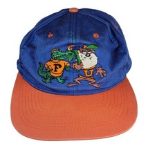 Vintage UF Florida Gators Taz Looney Tunes 90s Color Block Snap Back Hat Rare - £97.38 GBP