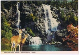 Postcard Deer Bridal Veil Falls Algoma Country Ontario - £2.35 GBP