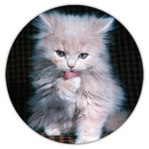 Cat : Gift Coaster Licking Kitten Pet Animal Feline Pets Lover Cat Mom Dad - £4.01 GBP