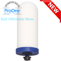 ProOne G2.0 9″ filter - £65.35 GBP