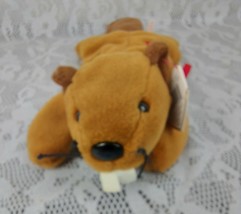 TY Bucky Beaver Brown 11&quot; Plush Stuffed Animal Plushie Beanie Baby Doll Toy 1995 - £6.42 GBP