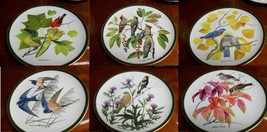 Franklin Porcelain Wedgwood Collector Plate Songbirds Of The World Pick One - £39.85 GBP
