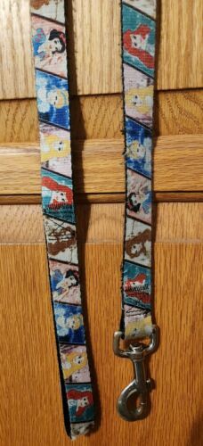 Disney Princess Dog Leash 4ft. Nylon - $4.46